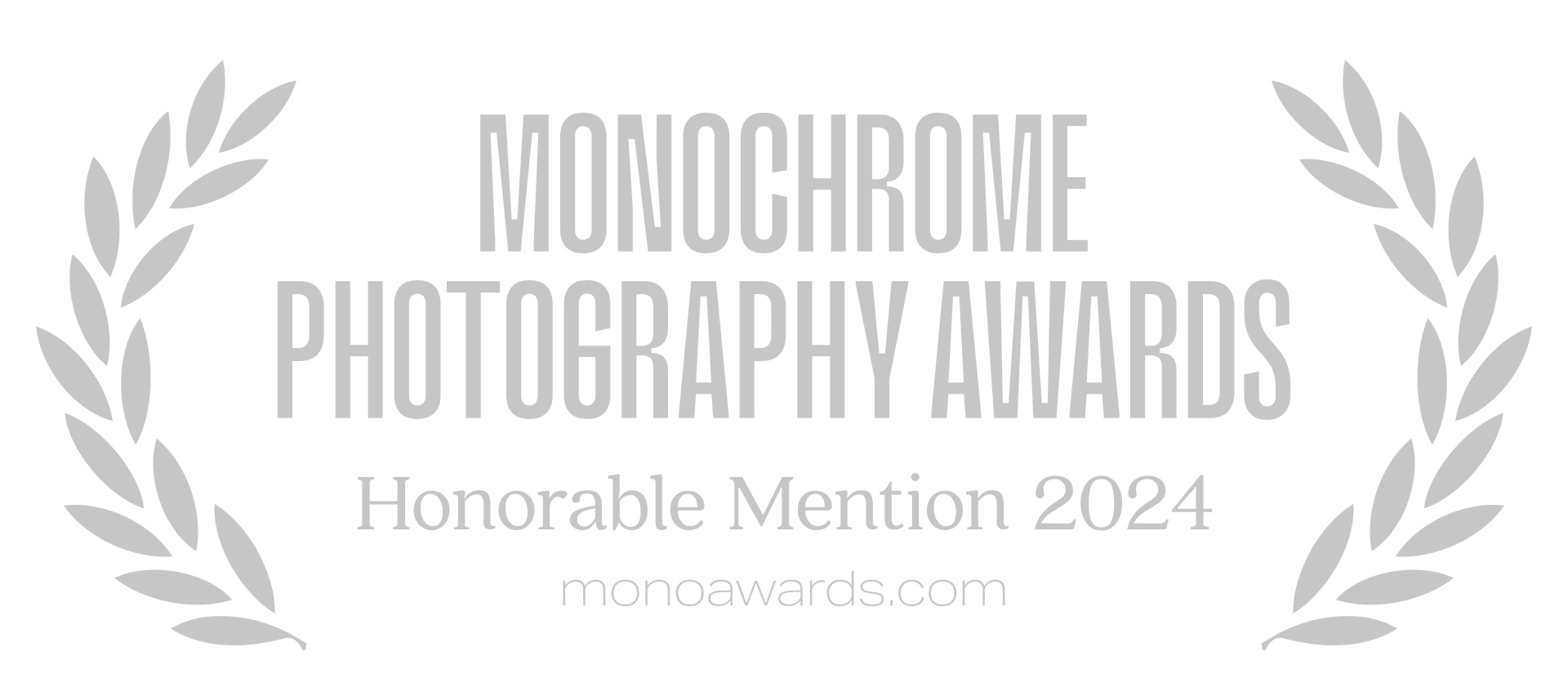 monochrome_awards_2024_hm_grau_
